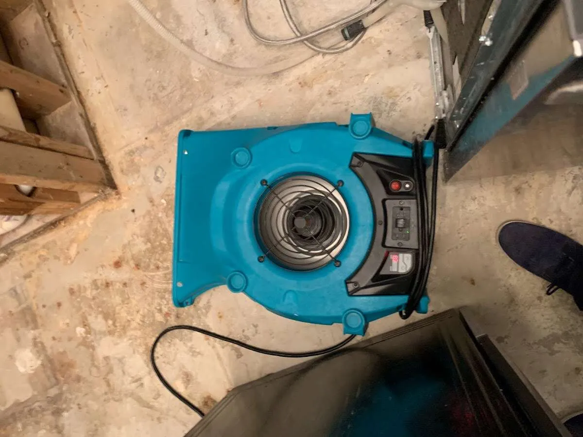 Air mover drying equipment for Mold Remediation & Removal in Gretna